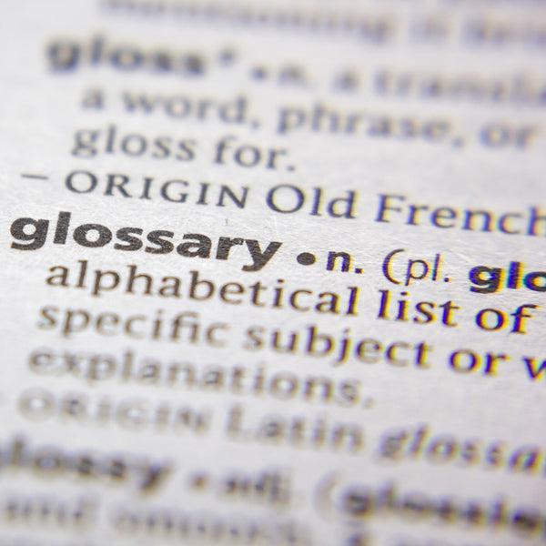 Glossary of Terms