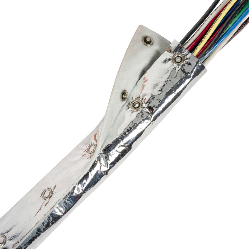 DSC03130_800x.jpg?v=1713204453